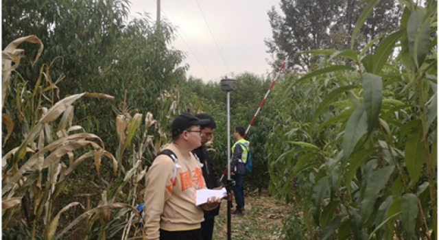交通规划设计一院参与G309（胶州即墨界至S219段）新改建工程初步设计工作